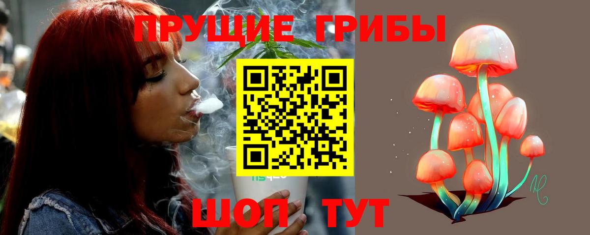 Псилоцибиновые грибы мицелий Северск